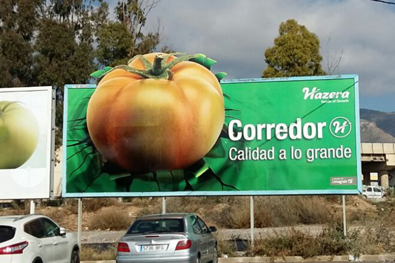 WhatsApp%20Image%202021 03-29%20at%2011.39.21.jpeg